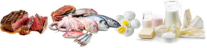 Fuentes de proteína animal: carne, pescado, marisco, leche, queso y demás lácteos, huevos.